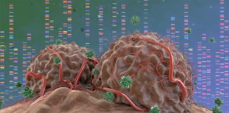 Analizar el cáncer desde las causas y no desde los tejidos .