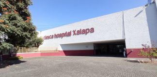 Madre de Melina pide ayuda para aliviar su dolor de cáncer terminal: ISSSTE niega medicamentos.