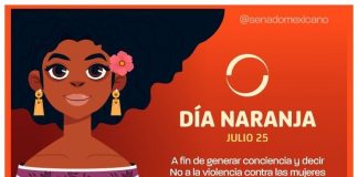 Contra todo tipo de violencia contra niñas y mujeres afrodescendientes #Senado