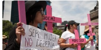 Sánchez Cordero y Zaldívar presentan propuestas contra el feminicidio, ¿de qué tratan? El OCNF lo explica