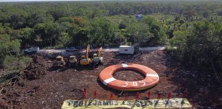 Geenpeace llama a detener las obras del tren Maya ante desacato del Gobierno de AMLO
