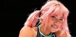 Tras suicidio de Hana Japón determina un año de cárcel a quien insulte por Internet