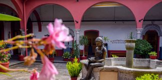 Danza, música, conferencias y talleres, este fin de semana en Xalapa