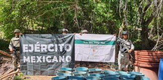 Localizan 8 laboratorios clandestinos en estos estados.