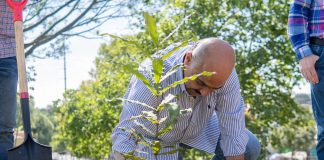 Realiza Ayuntamiento jornada de reforestación en el parque La Loma #Xalapa