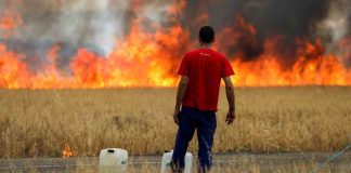 Europa, en alerta por ola de calor, dicen que llegó el apocalipsis