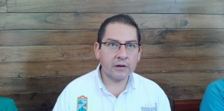 Pese a combate de tala clandestina continúa el problema en Cofre de Perote