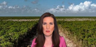 Kenia López Rabadán llama a acatar el mandato judicial en caso del tramo 5 del Tren Maya