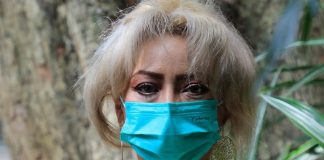 Jornadas de esterilización canina y felina, gratuitas y en todo el municipio . #Xalapa