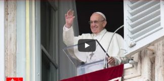 El Papa sugirió no fatigarse ni agitarse por un activismo estéril .