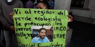 Colonos piden esterilizaciones gratuitas para perros y gatos en Xalapa