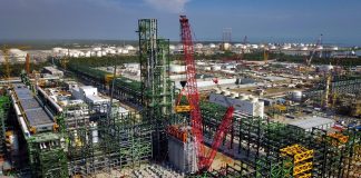 Desenfreno y procacidad sucesoria