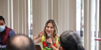 INE debe garantizar representación de Pueblos Indígenas en distritación electoral: Dip Vargas