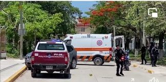 Exigen que se investigue atentado contra Susana Mendoza Carreño con protocolo contra delitos a la libertad de expresión.