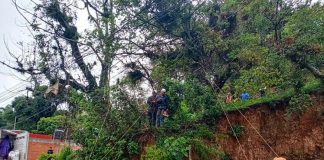 Retira Ayuntamiento árbol y ramas caídas #Xalapa
