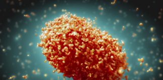 OMS declara brote de viruela símica como emergencia de salud pública internacional .