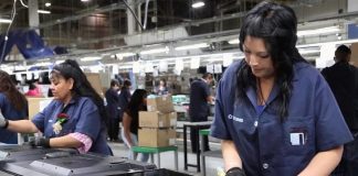 Sin recuperarse el empleo de las mujeres en Veracruz .