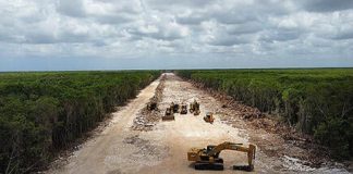 Desastre ecológico con Tren Maya… ¿Y dónde está el PVEM?