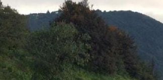 En Acultzingo Veracruz balean a jovencitas, en intento de asalto a un autobús