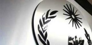 CNDH debe informar sobre recomendación relacionada con rescate de menores migrantes en Chihuahua: INAI