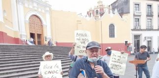 Cafetaleros de Veracruz entre la roya y la Nestlé