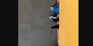 La pornografía no puede ser la primera escuela de sexo .