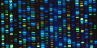 Los tres descubrimientos que darán forma al futuro de la medicina –