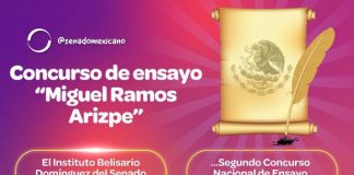 Participa en el ensayo @IBDSenado