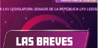#Enterate: Las Breves del Senado