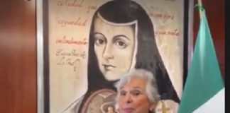 Olga Sánchez Cordero busca repetir en el Senado.