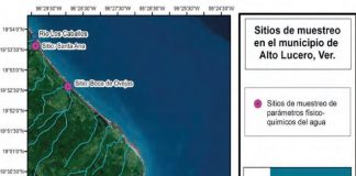 Palma Sola y la creación de nuevos municipios veracruzanos .