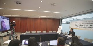 Demandan desde el Senado más recursos para atender salud mental y adicciones