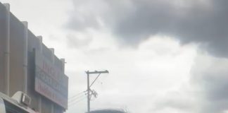 Denuncian extorsión de aseguradora Afirme a capitalinos víctimas de accidente en transporte Público .