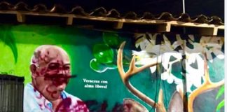 Alfombrismo remarcado en Misantla