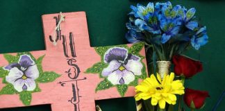 Inseguridad, percepción y violencia vs mujeres .