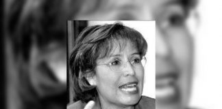 La Ley Robles, un parteaguas en la creación de mecanismos para acceder a la ILE