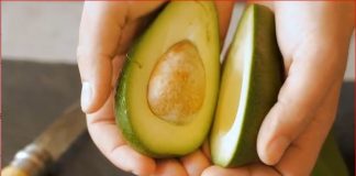 En el Senado exhortan a autoridades a garantizar la seguridad de Productores de aguacate en Michoacán #Video