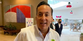 Un cisne sinvergüenza .