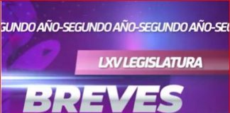 Termina el fin de semana y para recargar pilas te presentamos las #BrevesDelSenado, ¡míralas!