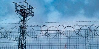 #Por si no lo leíste: ONU urge a México a anular la prisión preventiva .