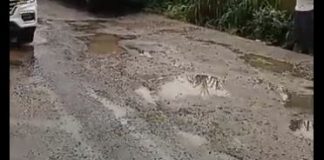 Destrozada, también, carretera Acayucan-Sierra de Santa Martha .