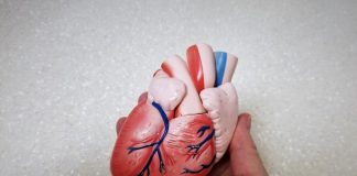 Aprende a cuidar la salud de tu corazón .