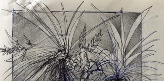 Presenta JEX talleres artísticos para todos los públicos durante el mes de septiembre .