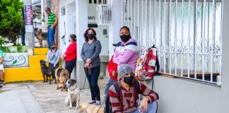 Realiza Ayuntamiento jornada de esterilización canina y felina en El Castillo #Xalapa