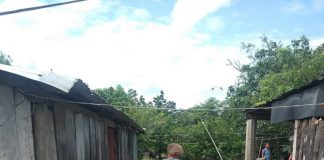 Reportan 60 localidades incomunicadas en Veracruz por intensas lluvias.