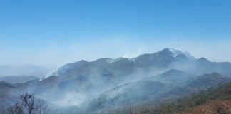 Hay actividades que afectan más a los bosques que la actividad clandestina .