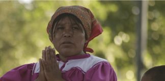 Documentan 16 casos de violencia por crimen organizado, gobiernos y empresas en comunidades indígenas