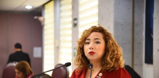 Promover perspectiva de género en municipios, propone Diputada . #LXVILegislatura