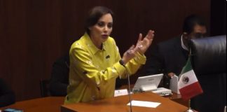 Senadora Lilly Téllez insta a José Narro a enfrentar investigación sin fuero .