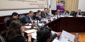 Tendrá Xalapa marca turística oficial .